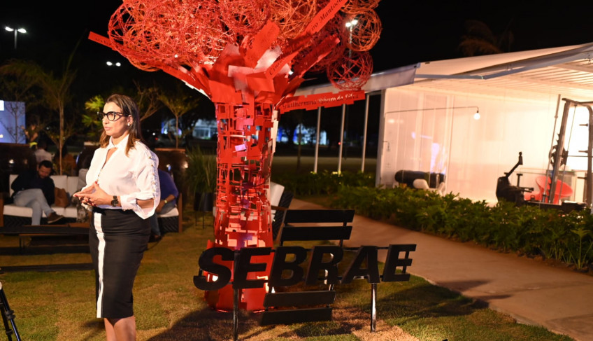 ASN Tocantins - Agência Sebrae de Notícias