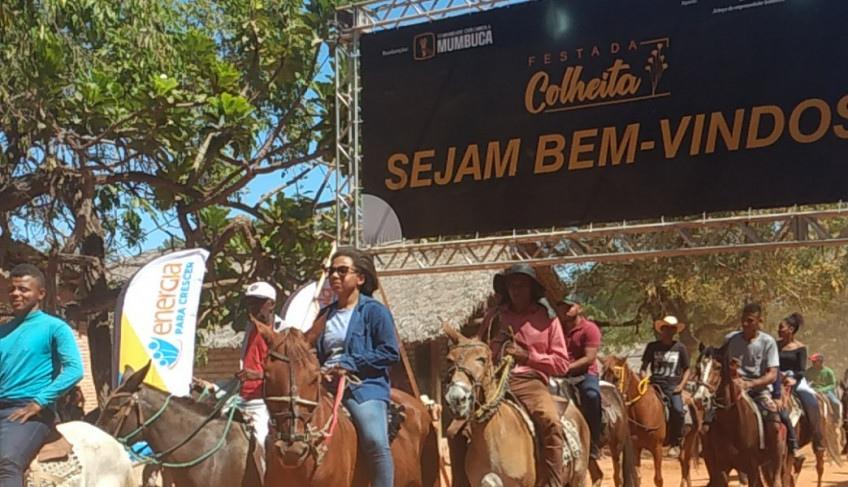 ASN Tocantins - Agência Sebrae de Notícias