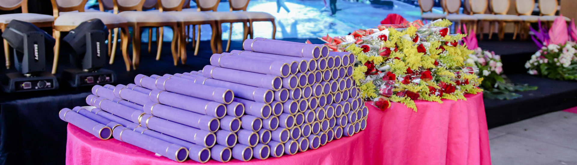 ASN Tocantins - Agência Sebrae de Notícias