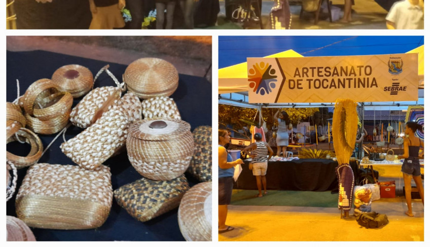 ASN Tocantins - Agência Sebrae de Notícias