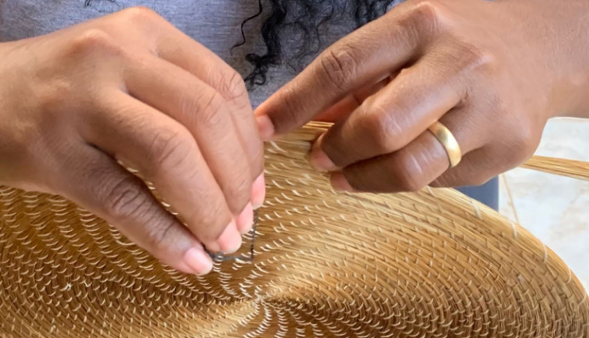 ASN Tocantins - Agência Sebrae de Notícias