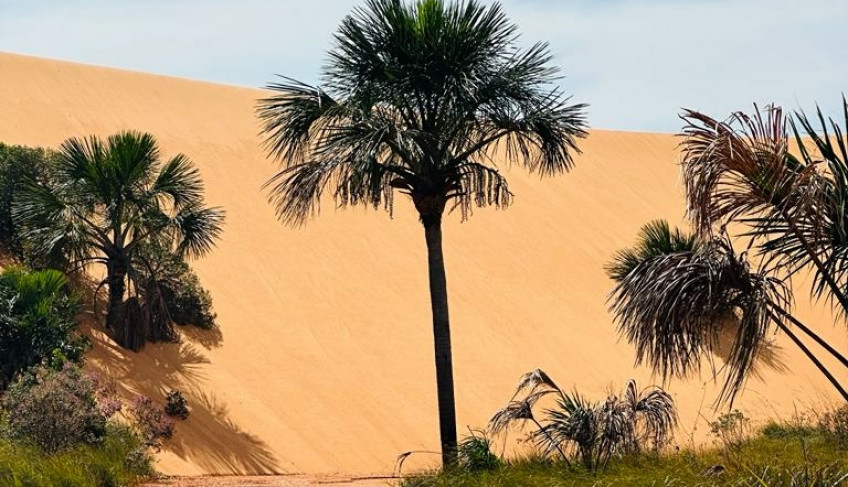 ASN Tocantins - Agência Sebrae de Notícias