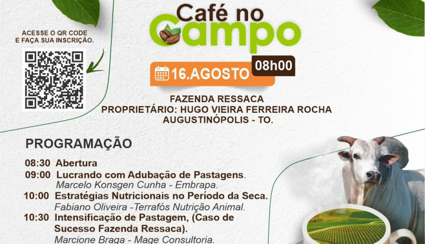 ASN Tocantins - Agência Sebrae de Notícias