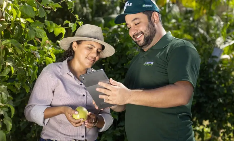 ASN Tocantins - Agência Sebrae de Notícias