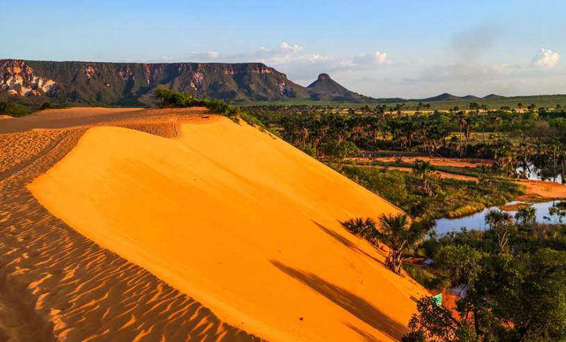 ASN Tocantins - Agência Sebrae de Notícias