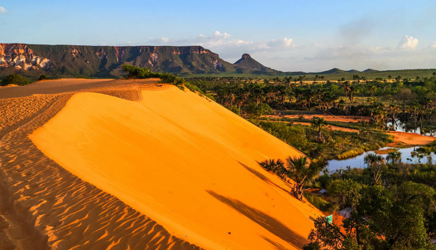 ASN Tocantins - Agência Sebrae de Notícias