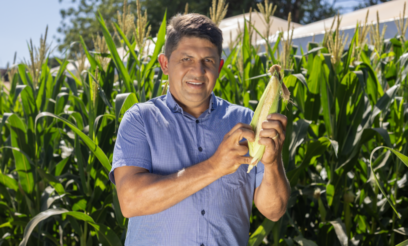 ASN Tocantins - Agência Sebrae de Notícias
