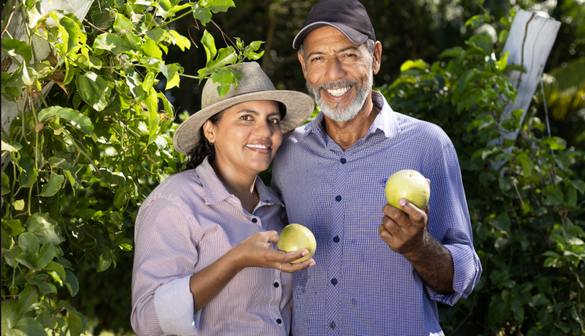 ASN Tocantins - Agência Sebrae de Notícias