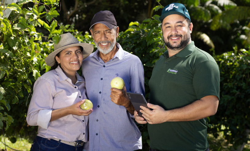 ASN Tocantins - Agência Sebrae de Notícias