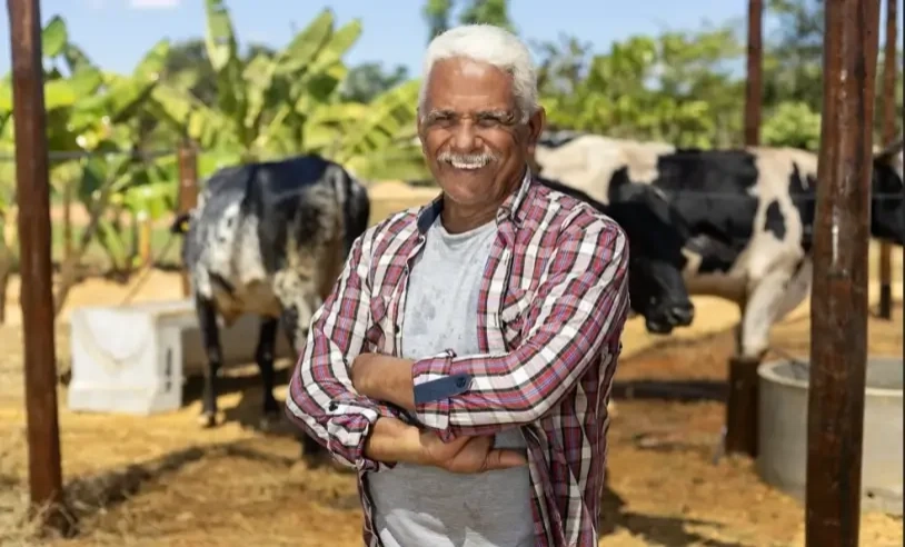 ASN Tocantins - Agência Sebrae de Notícias