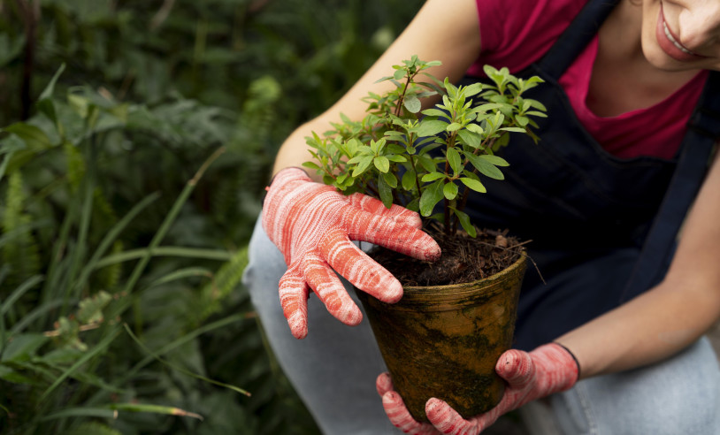 ASN Tocantins - Agência Sebrae de Notícias