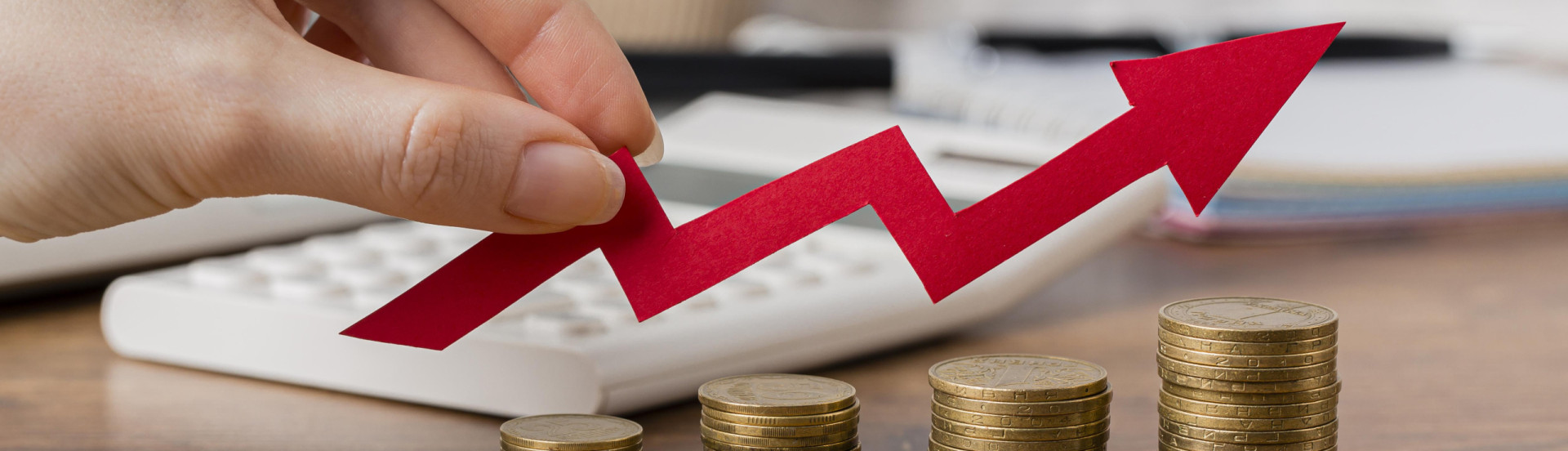 ASN Tocantins - Agência Sebrae de Notícias