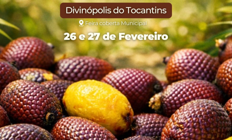 ASN Tocantins - Agência Sebrae de Notícias