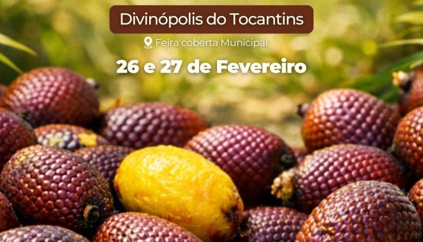 ASN Tocantins - Agência Sebrae de Notícias