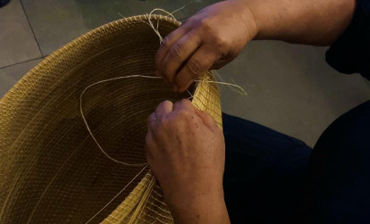 ASN Tocantins - Agência Sebrae de Notícias