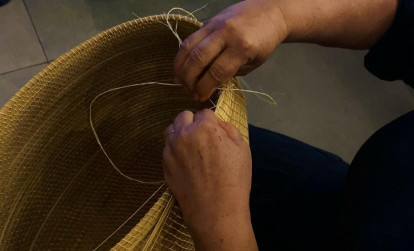 ASN Tocantins - Agência Sebrae de Notícias