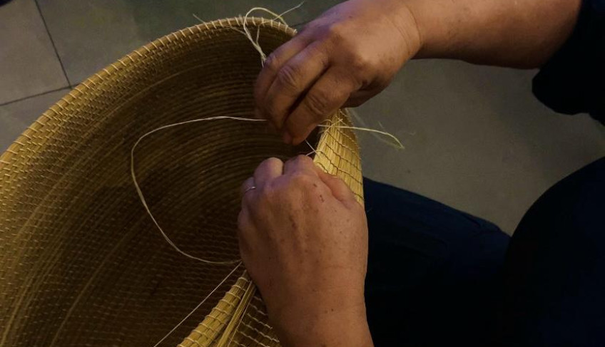 ASN Tocantins - Agência Sebrae de Notícias