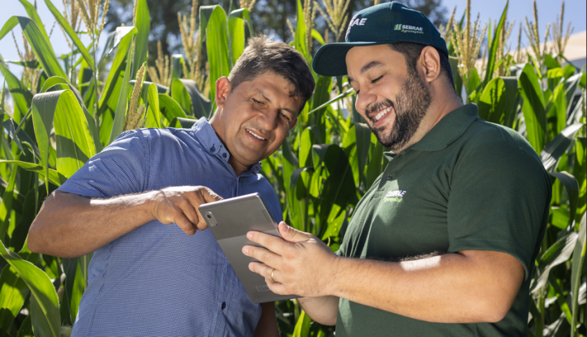 ASN Tocantins - Agência Sebrae de Notícias