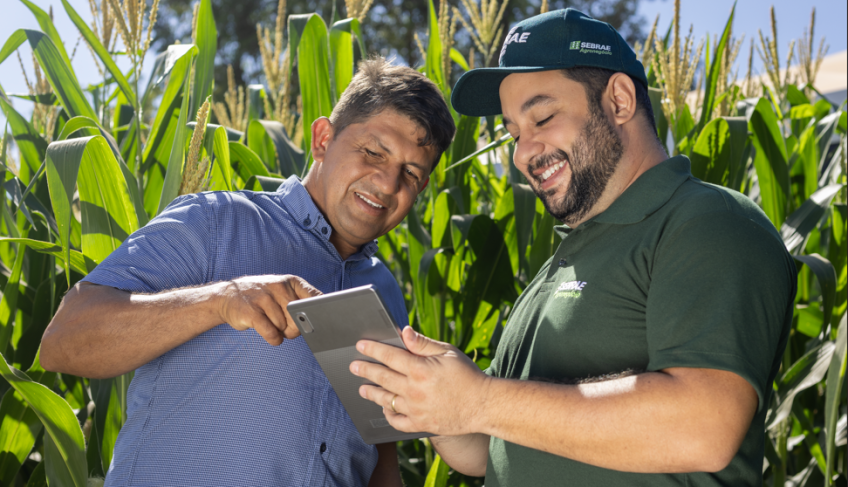 ASN Tocantins - Agência Sebrae de Notícias