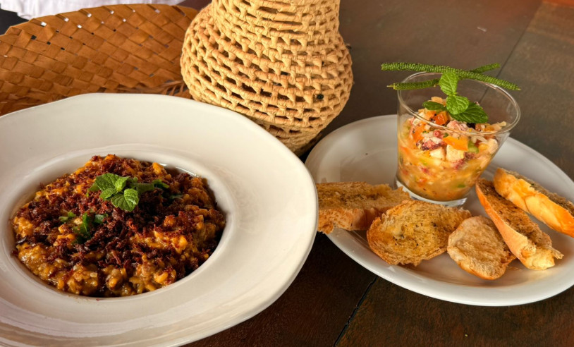 ASN Tocantins - Agência Sebrae de Notícias