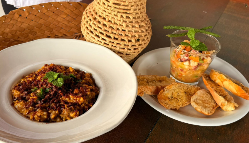 ASN Tocantins - Agência Sebrae de Notícias