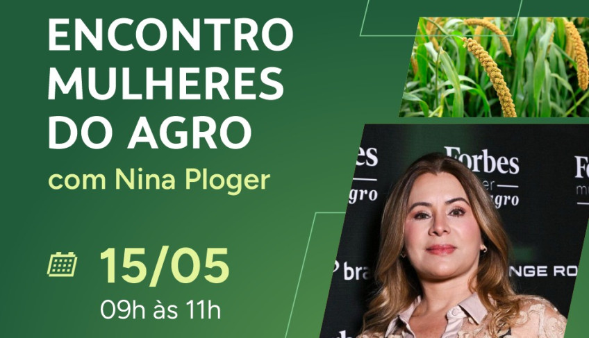 ASN Tocantins - Agência Sebrae de Notícias