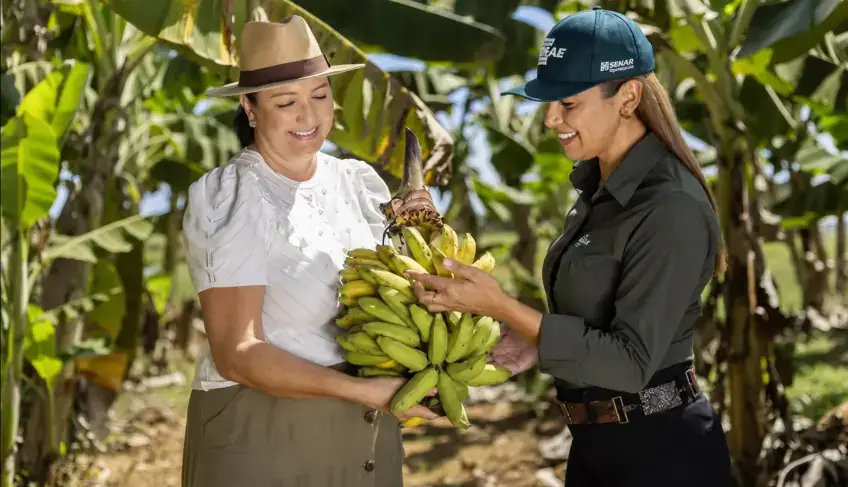 ASN Tocantins - Agência Sebrae de Notícias