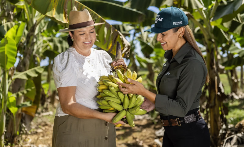 ASN Tocantins - Agência Sebrae de Notícias