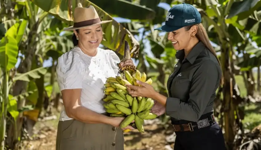 ASN Tocantins - Agência Sebrae de Notícias