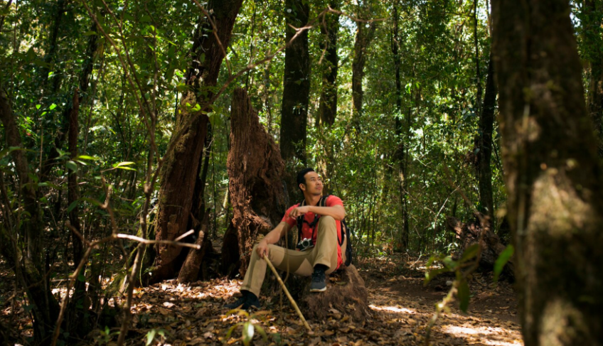 ASN Tocantins - Agência Sebrae de Notícias