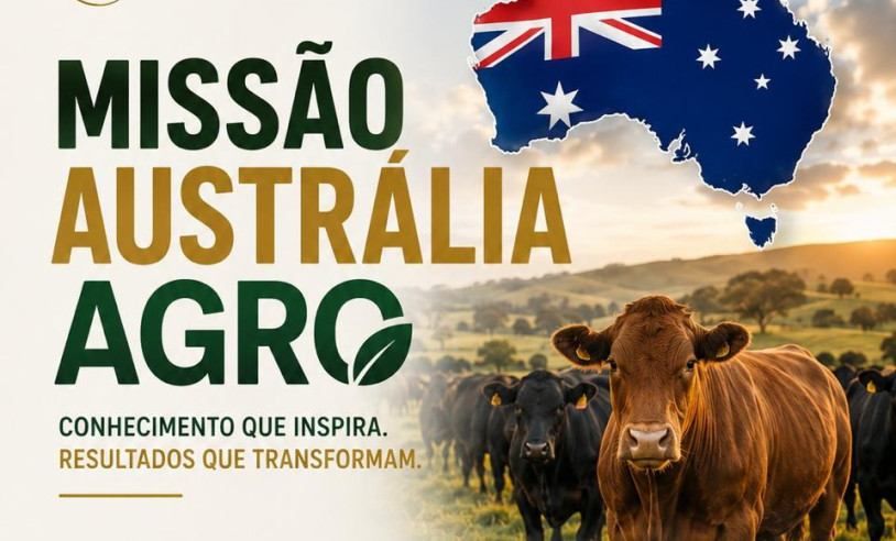 ASN Tocantins - Agência Sebrae de Notícias