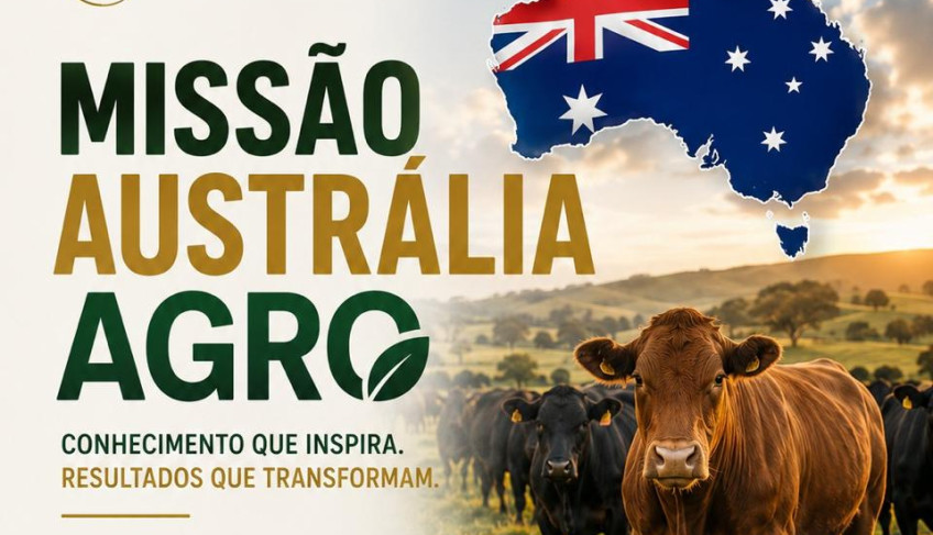 ASN Tocantins - Agência Sebrae de Notícias