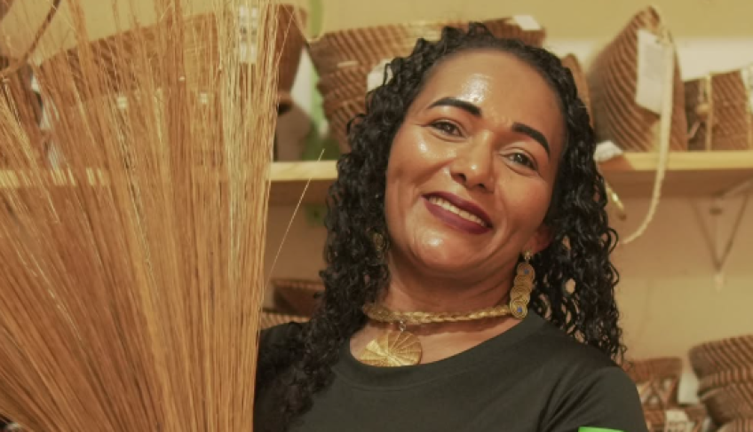 ASN Tocantins - Agência Sebrae de Notícias